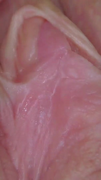 Clitoris și vagin