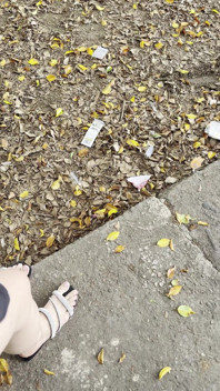 Chica Colombiana Se Masturba En Publico En La via