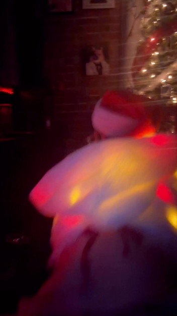 sky_wryder: Feliz xxxmas