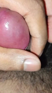 Suck My Cock Very Hard