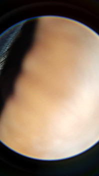 Soft Uncut Black Big Dick Slow Mo