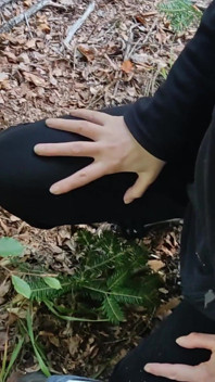 Dirty Ass Licking and Sucking, Outdoor Slut Rimjob