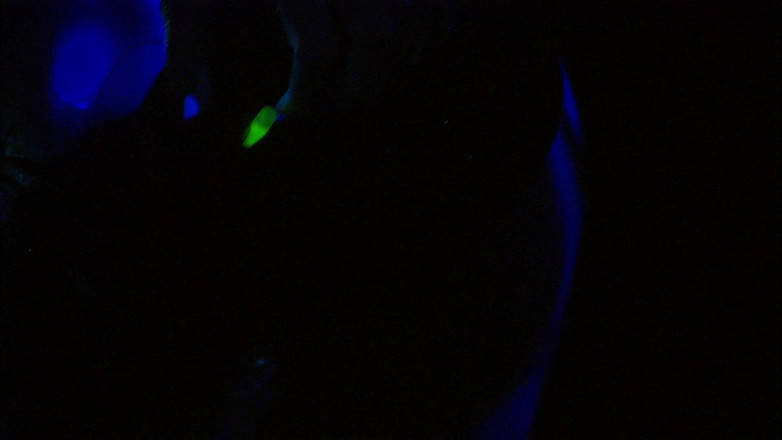 Tight little babes: लेस्बियन एलियंस इस पर जा रही हैं