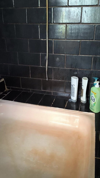 FenekManul: Shower Princess Needs Her Relax