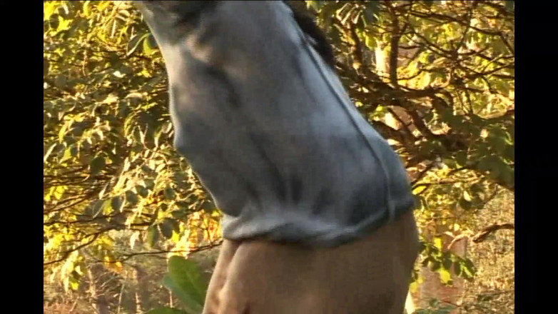 Mon Amie: Sug min stora hårda svarta kuk, pojke, jag ska sperma...