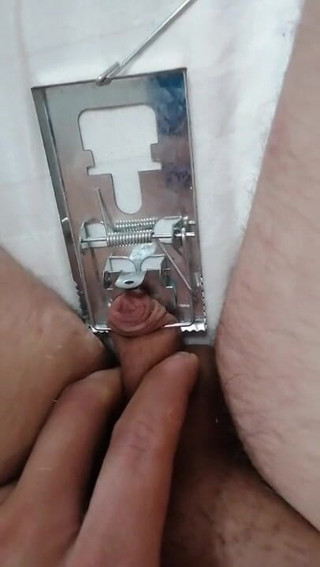 Adashah: Zakar kecil dan perangkap tetikus. Cbt BDSM solo