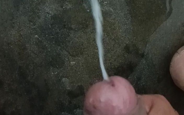 Rajasthani Video: Jabardast Sega desi