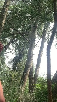 Khoe hàng bạn trong rừng