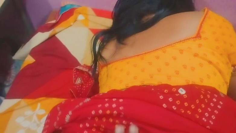 Hemant: Heißes doggy-in sari