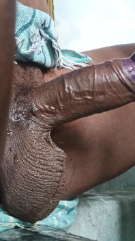 Colour Penis
