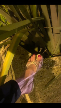 My Feet