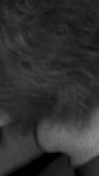 12インチコックフェラチオ