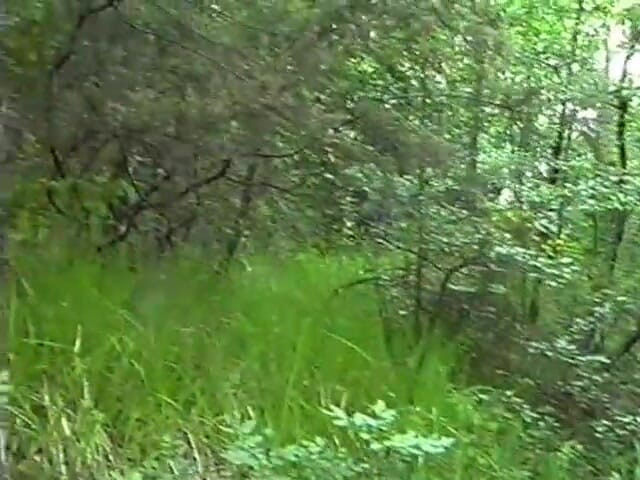 King Of Amateur: З Татуюваннями Чи Ні, Головне - Зламати Собі Зад