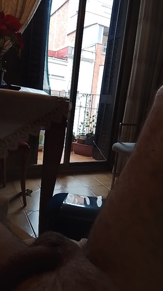 Beehive: Prin fereastră