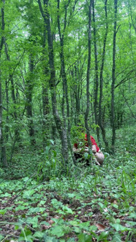 Une MILF Timide Se Fait Sodomiser Dans La Nature !!