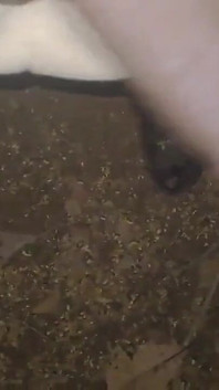 A Hot Big Black Cock Mastubating