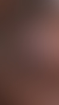 3951 4.