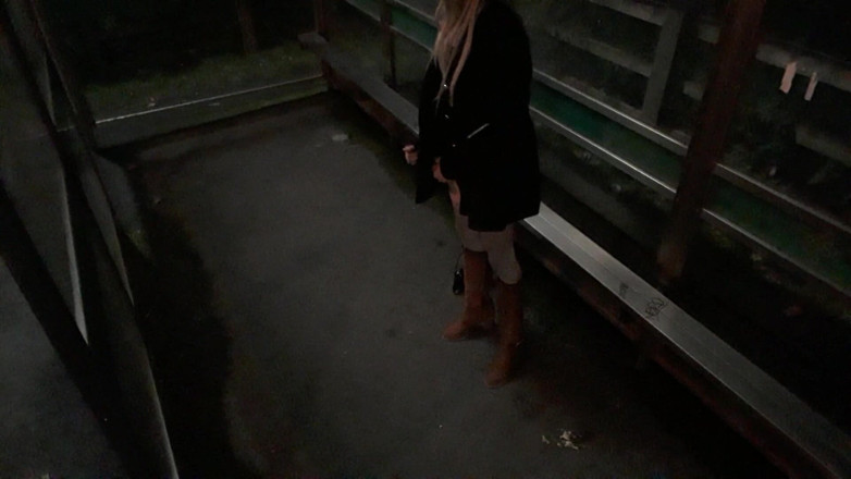 The Midnight Minx: Bus shelter berbogel