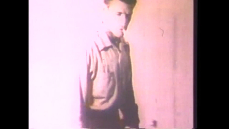 Vintage Usa: Vintage-schüchternheit