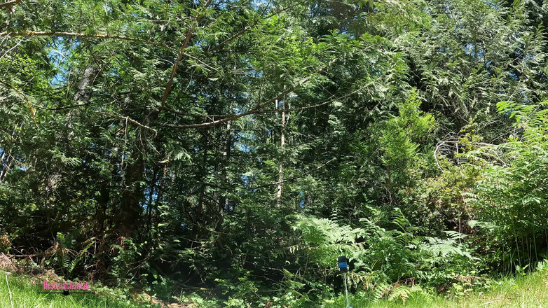 Destination Kat: Yoga khỏa thân ngoài trời