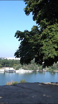 Mouth Cum in the Castel Park