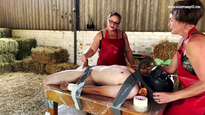 Mistress April: Domina herrin april - nur medizinische experimente aus der melk scheune