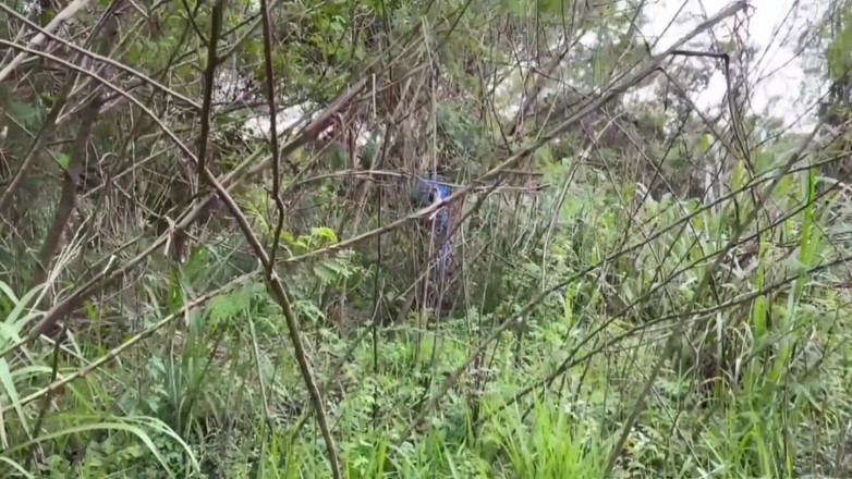 TheBlacKHunterr: Pekerja melewati taman dan mendapat