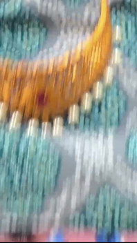 Komal celebra Rakshabandhan con il fratellastro