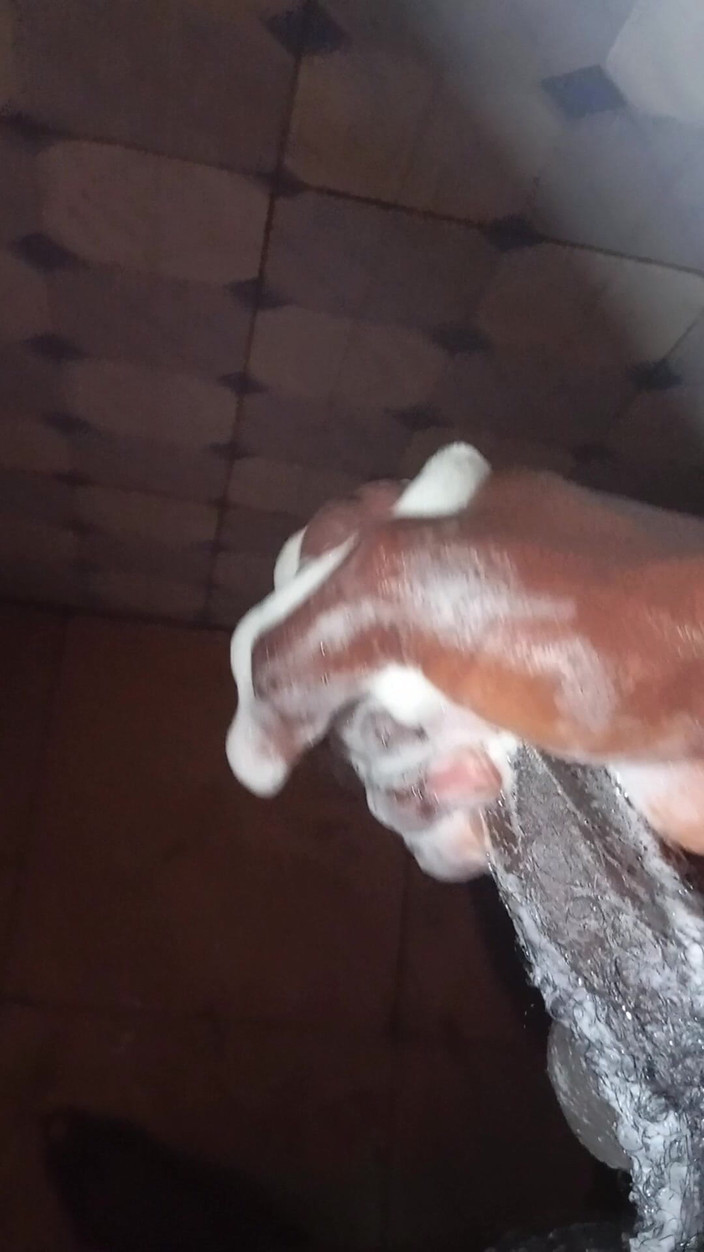 JasperTv1: A casa da sola