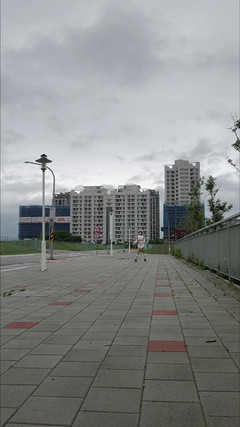 NotAFuta: 公园里的女仆暴露狂