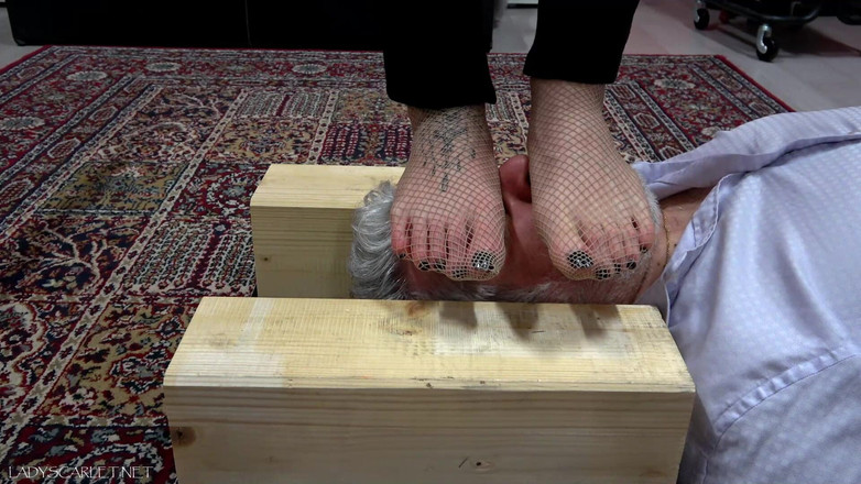 Lady Scarlet: Lady Scarlet - síťka na obličeji