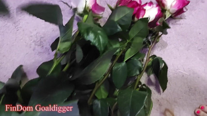 FinDom Goaldigger: Two romantic cuckolding stories