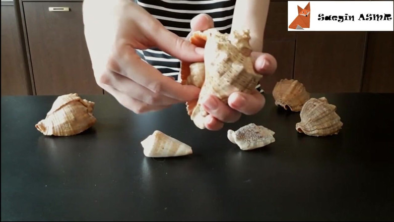 Saegin: 1[ASMR] Frotando y rascando las conchas marinas (sin hablar)