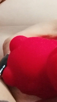 Do You Want to See Me Play with This Toy?