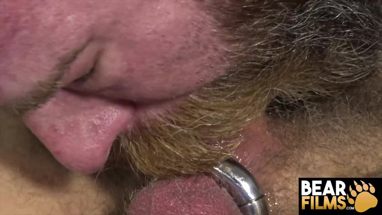 Bear Films: Urso- urso dominante Jack Dixon usa seu dong gordo em...
