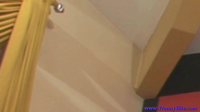 Trannyville: Danielly Marinetto, star du porno transsexuelle à gros nichons, se fait...