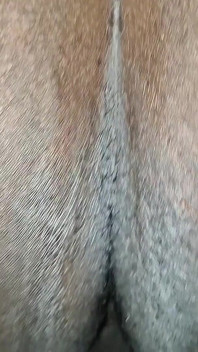 我的继兄弟看到我兴奋地坐在那里，没想三思而过，他来了，狠狠地操了我，直到我进入啪