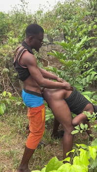 Orgy in the Forest Thick Pussy