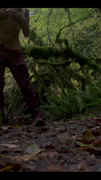 Striptease for Them Trees