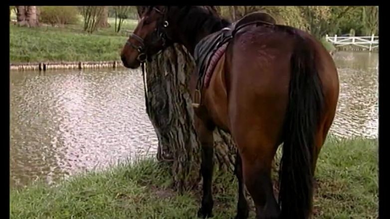 MMV Films and Clips XXX: Backey Jakic