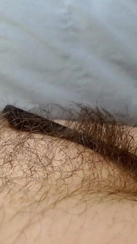 앤의 긴 머리 덤불을 다듬고 면도하는 애비 트림