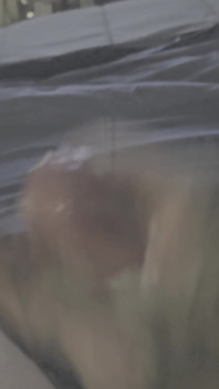 Buzz Blast Precum, Then Dumps Big Thick Load of Cum!