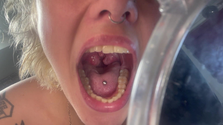 Glitterqueen1999: Tur mulut Uvula tonsils cek pembuluh darah lidah gigi