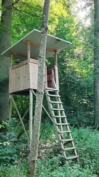 Right in the Middle of the Tree Stand, Would You Do It Outdoors?