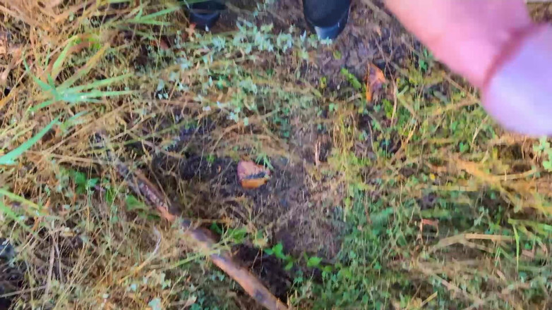 WetZemu: Enjoying Nature!