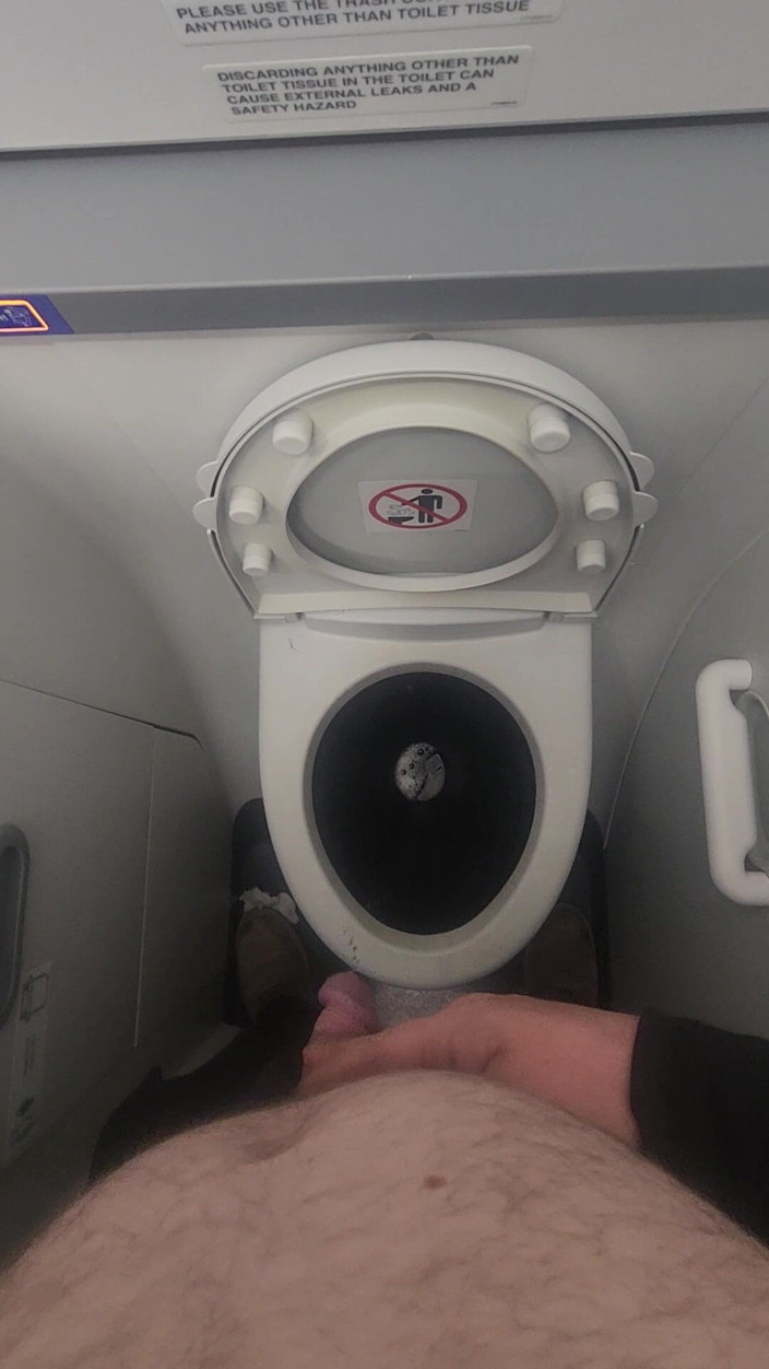 Djk31314: Airplane Bathroom Jerk and Cum.