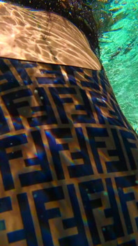 Perfect Ass of My Wife Swimming