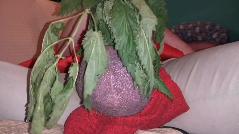 Monster_Meat_: Urtigas me deixam louco e fazem meu pau duro!