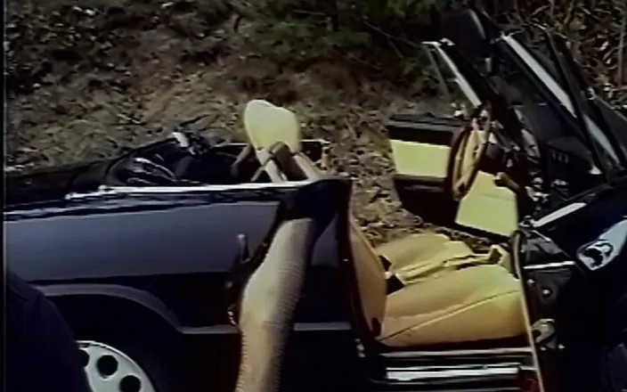 GERMAN PORN CLASSICS: 野生のFickfreudenひねくれたカップル