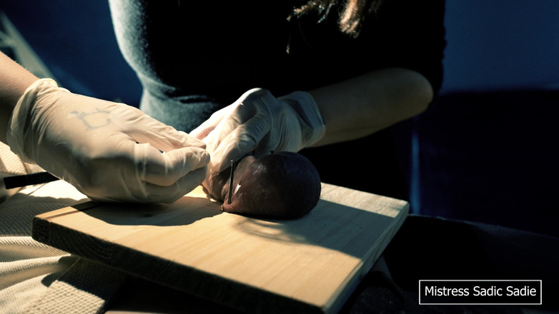 Sadic Sadie: İlk Kez Topları ve İğneyi Meşe Palamudunuzdan Çiviliyorsun.